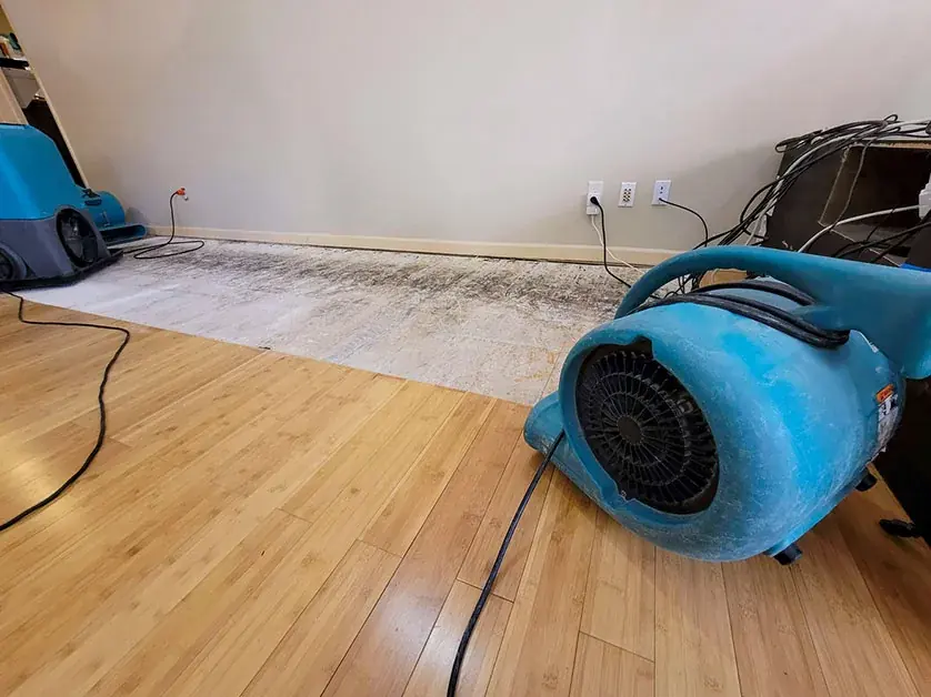 Finished basement dry-out after a burst pipe in Sunset Hills, St. Louis
